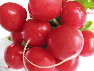 radieschen