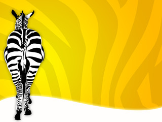 zebra 02 © sabino.parente
