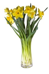 Narzissenstrauß