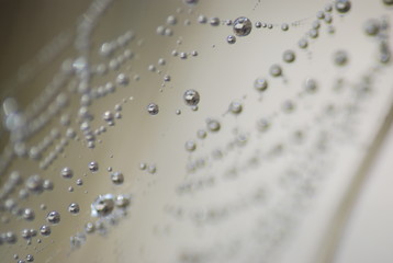 perlas de agua