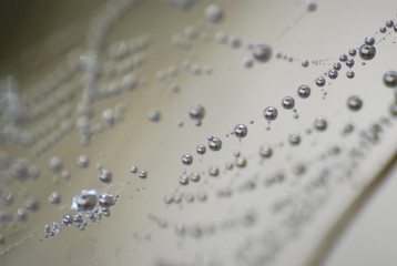 perlas de rocio