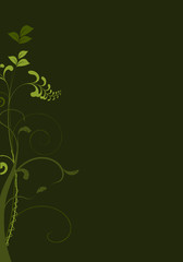 Fototapeta na wymiar vecteur série - floral design - plante en courbes vectorielles