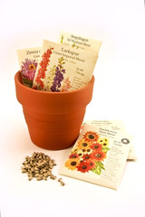 Seed packets in flower pot