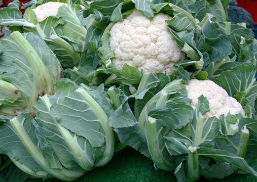 Blumenkohl