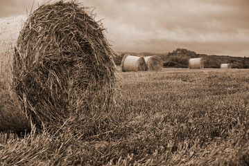 Haybails in hay field in black and white with sepia tone