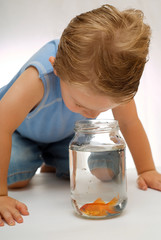 Obraz na płótnie Canvas Toddler boy looking at goldfish in jar or bowl.