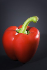 Paprika und schwarzer Hintergrund