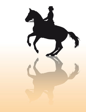 Vector silhouette - equestrian sport: dressage