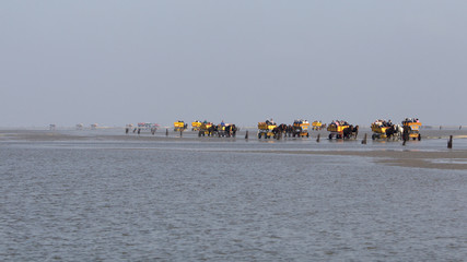 Pferdekutschen Wattenmeer