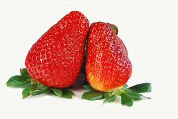 duo de fraises