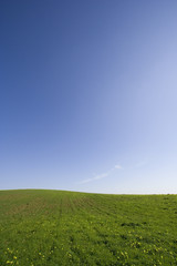 Obraz na płótnie Canvas Blue, Green and yellow field landscape