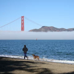 Fotobehang jogging along the beach with dog San Francisco © Stephen Finn