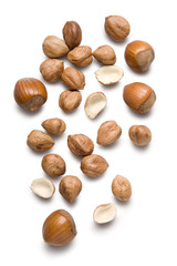 Hazelnuts isolated on white background