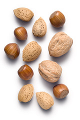 Almonds hazelnuts and walnuts isolated on white