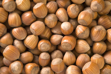 Textured background of hazlenuts