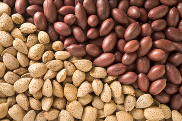 Mixed nuts in their shells