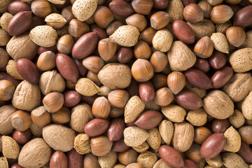 Walnuts, almonds, pecans and hazlenuts