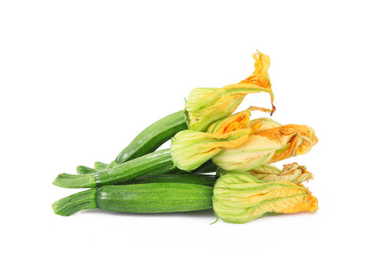 fiore di zucca