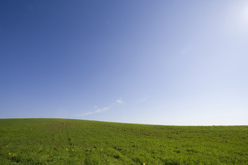Fototapeta na wymiar a green field with a blue sky landscape