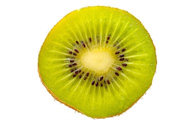 kiwi