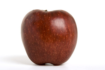 Fruits du verger - Pommes