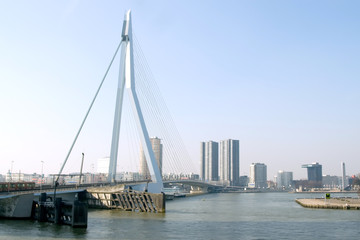 the sky-line of Rotterdam