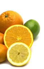 citrus on white background