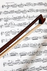 Violin Bow