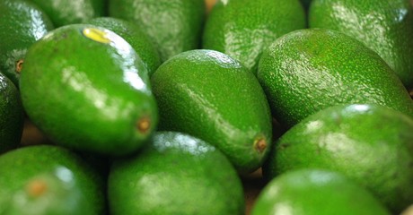 Avocats