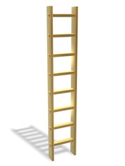 golden ladder to success