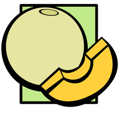 vector melon fruit