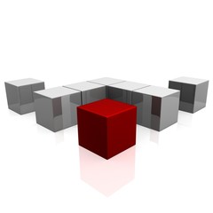 Obraz premium kość