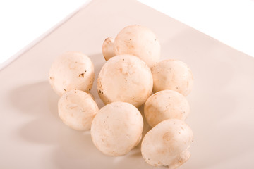 Mushrooms on Square White Plate