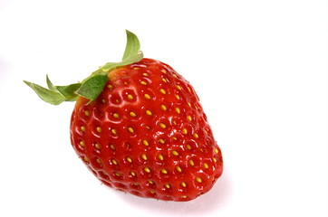 Erdbeere