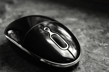 Maus 03