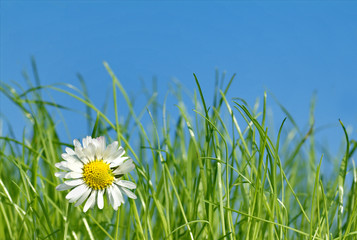 Frühling