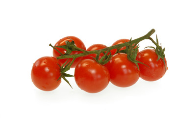 Tomaten 1