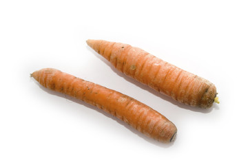 two carrots