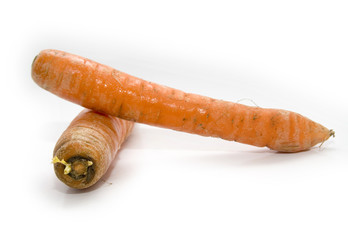 two carrots