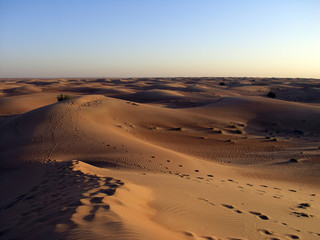 Fototapeta na wymiar Desert6