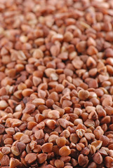 Buckwheat in close-up