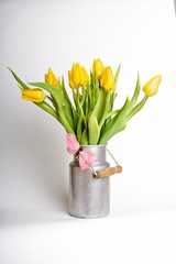 Tulpen