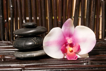 Massage stones and orchid flowers on bamboo