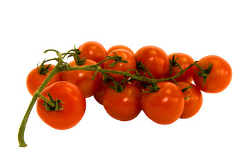 Strauchtomaten 
