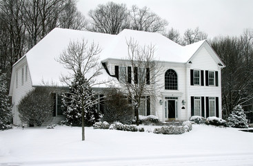 snowy day in the winter