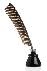Feather Quill