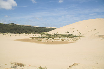 Sanddüne