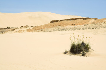 Sanddüne