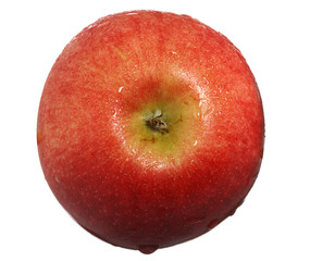 red apple with drops of water; top view; isolated