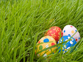 Easter eggs hidden in the grass  
